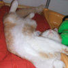 Photo de Eimjoy