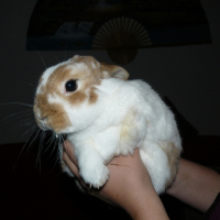 Photo de profil de Kymy