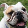Photo de Lola