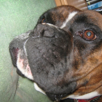 Photo de profil de Ben