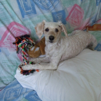 Photo de profil de Sally