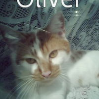 Photo de profil de Oliver