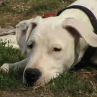 Photo de profil de Elsy