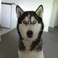 Photo de profil de Mc