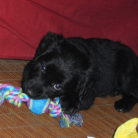 Photo de profil de Dounia