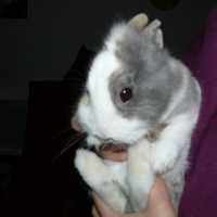 Photo de profil de Kany