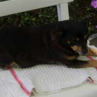 Photo de profil de Ondine
