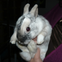 Photo de profil de Kooky
