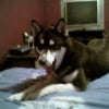 Photo de Maia