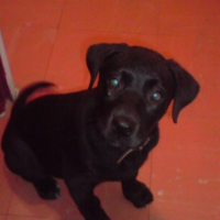 Photo de profil de Dalhia