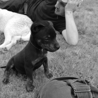 Photo de profil de Tykon