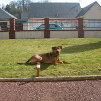 Photo de profil de Marzo