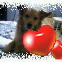 Photo de profil de Boulette