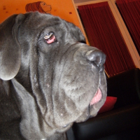 Photo de profil de Doc