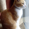 Photo de Noisette