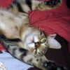 Photo de Copain