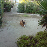 Photo de profil de Rosco