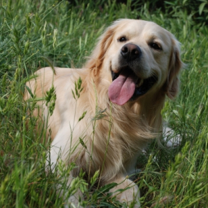 Photo de profil de Babylon