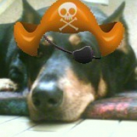 Photo de profil de Roxane