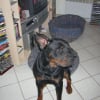 Photo de Vito