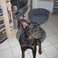 Photo de profil de Vito