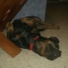 Photo de Baska