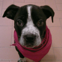 Photo de profil de Khéops