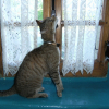 Photo de Calisa