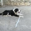 Photo de Bouboule