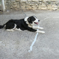 Photo de profil de Bouboule