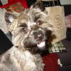 Photo de Dorothy