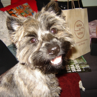 Photo de profil de Dorothy