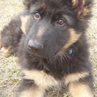 Photo de profil de Eïden