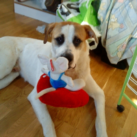 Photo de profil de Tyson