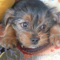 Photo de profil de Douby
