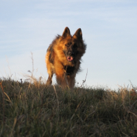 Photo de profil de Rencontré lors d'une ballade...