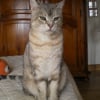 Photo de Nicky