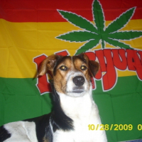 Photo de profil de Coukize