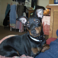 Photo de profil de Chryspy