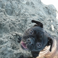 Photo de profil de Prune