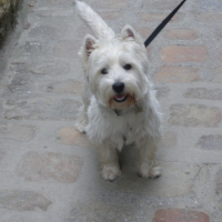 Photo de profil de Bounty