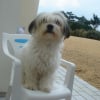 Photo de Snow