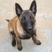 Photo de profil de Dôm