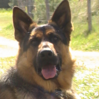 Photo de profil de Rex
