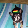 Photo de Rocky