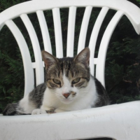 Photo de profil de Marguerite