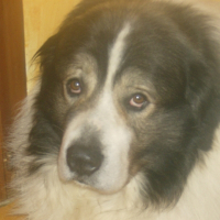Photo de profil de Scoot