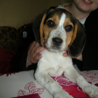 Photo de profil de Eclair