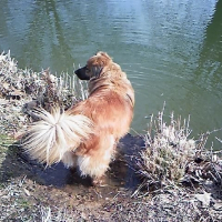 Photo de profil de Lily