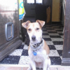 Photo de Alto